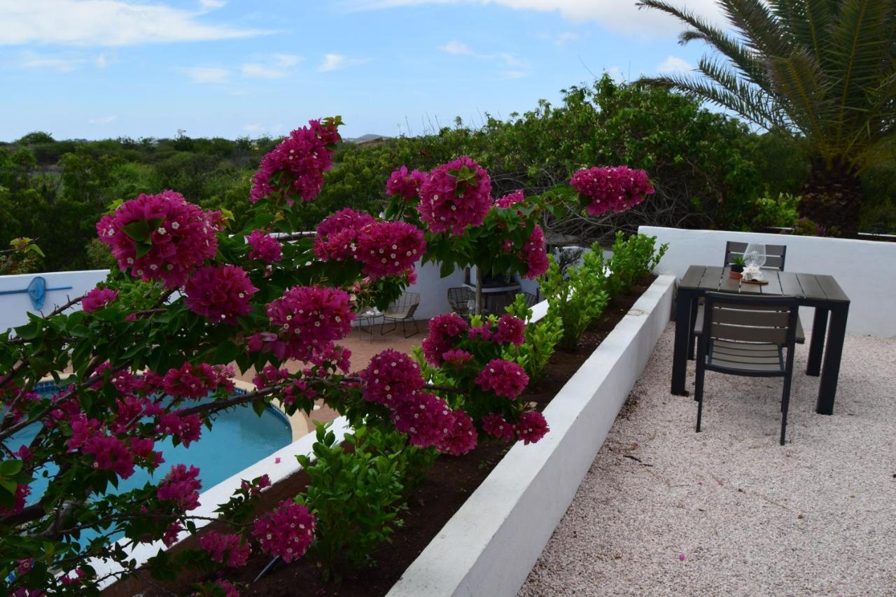Saint Joris A Tiny Boutique Resort 빌렘스타트 외부 사진