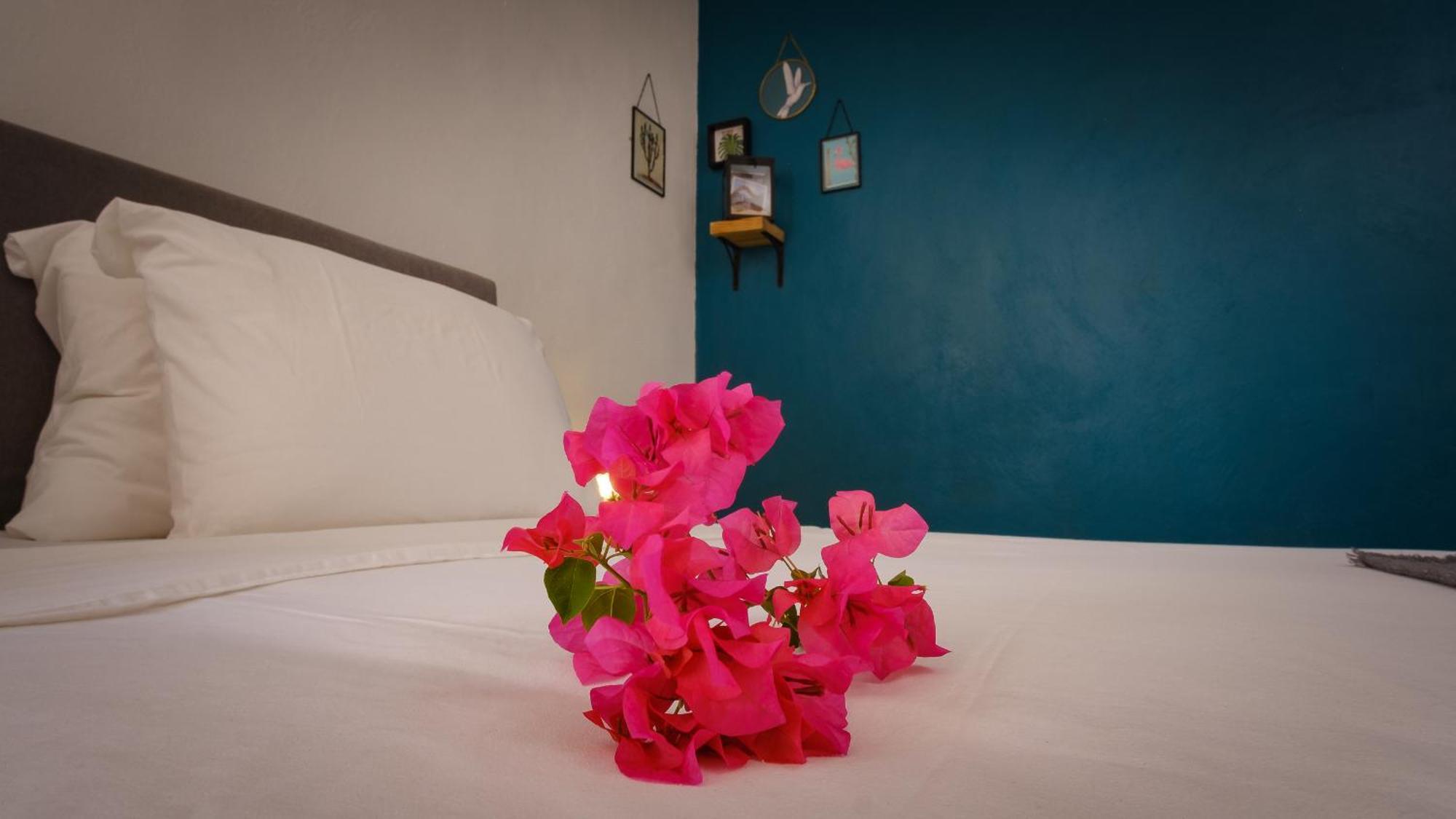 Saint Joris A Tiny Boutique Resort 빌렘스타트 외부 사진